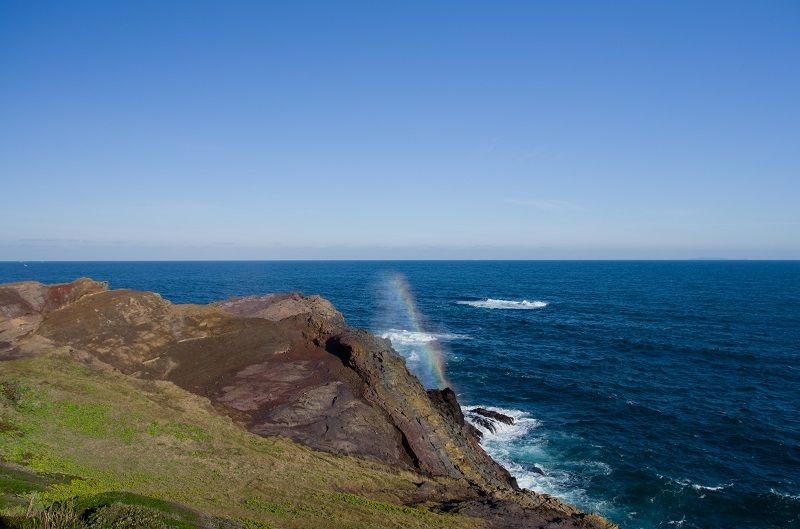 ⛩️ 모토노스미 신사 (元乃隅神社) 이미지 4